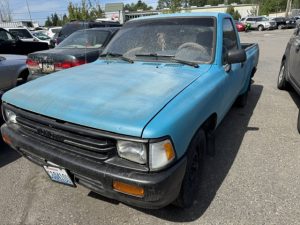 Img 7239