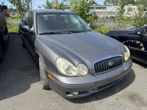 Img 7251