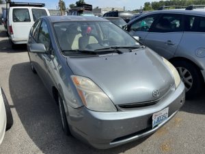 Img 7262